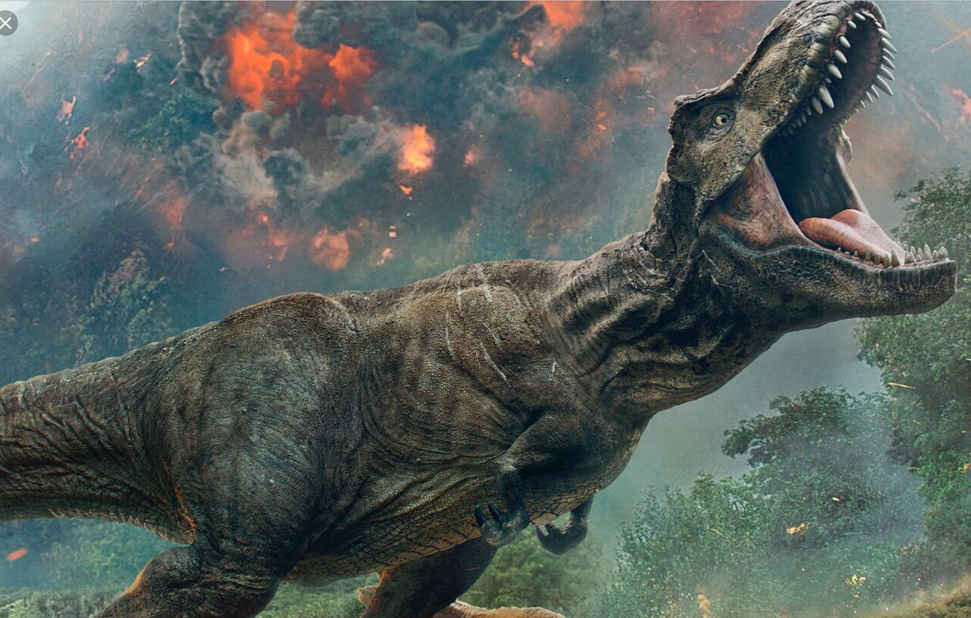 trex image